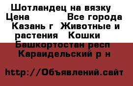 Шотландец на вязку › Цена ­ 1 000 - Все города, Казань г. Животные и растения » Кошки   . Башкортостан респ.,Караидельский р-н